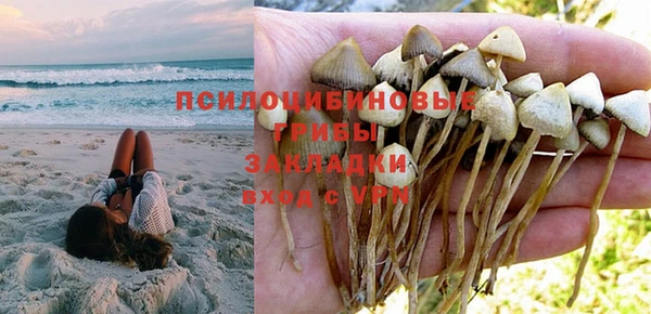 ПСИЛОЦИБИНОВЫЕ ГРИБЫ Алексин