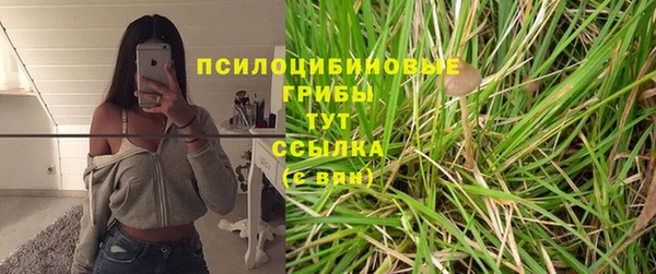 бутират Алексеевка