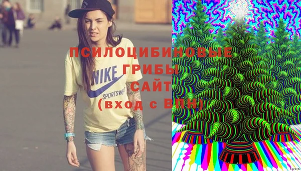 индика Алзамай