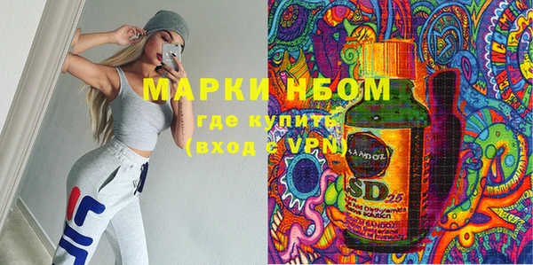 индика Алзамай
