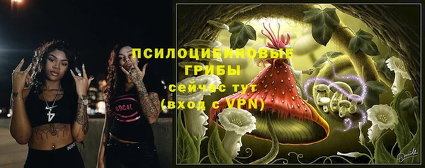 ПСИЛОЦИБИНОВЫЕ ГРИБЫ Алексин