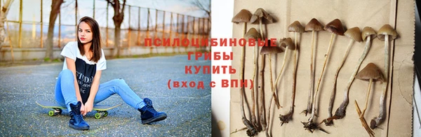 ПСИЛОЦИБИНОВЫЕ ГРИБЫ Алексин