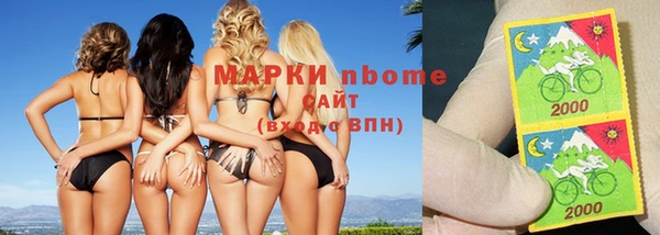 индика Алзамай
